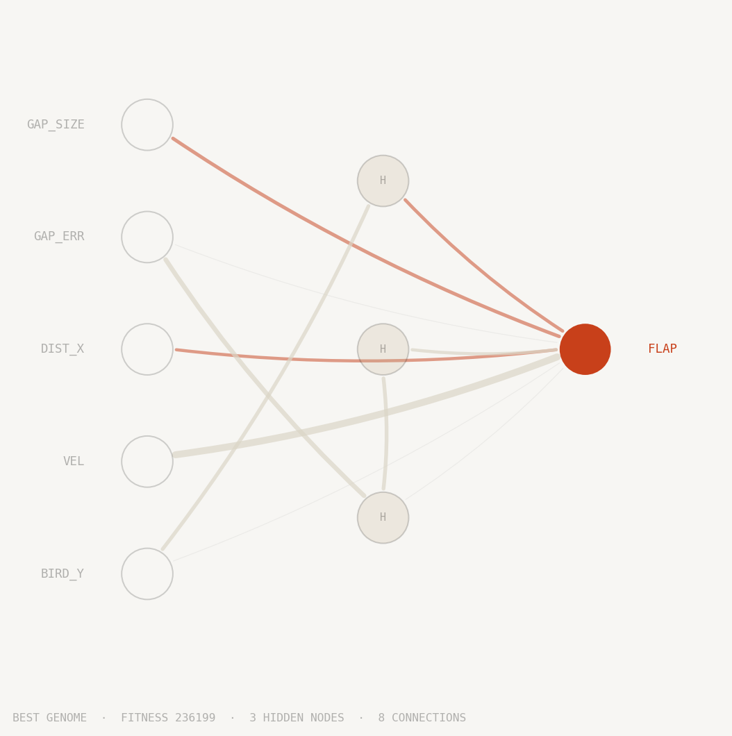 Neural network diagram of the best evolved genome